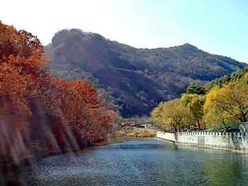 澳门天天彩期期精准平肖，东阳地板